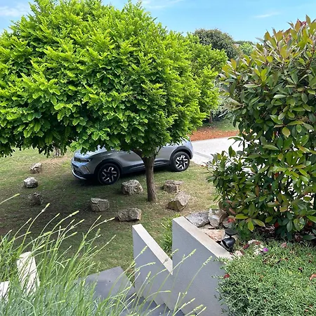 Appartement Pretty Little Thing Called Biska *