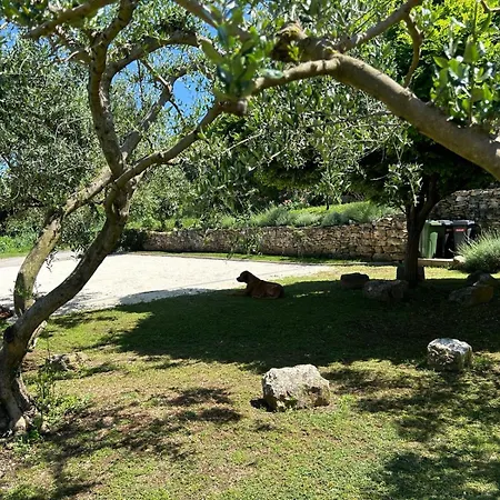 Pretty Little Thing Called Biska Appartement *