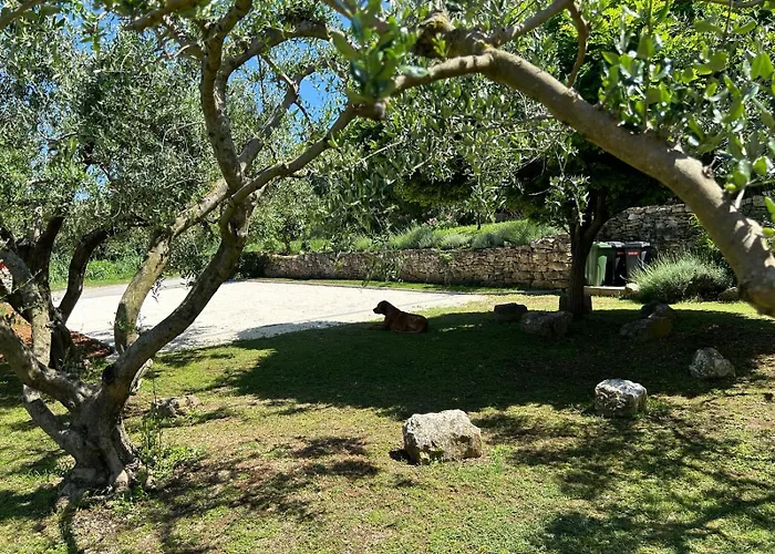 Pretty Little Thing Called Biska Appartement *