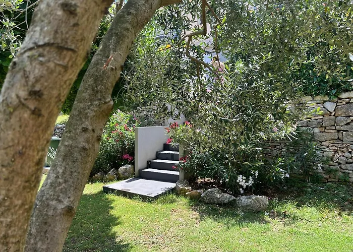 Pretty Little Thing Called Biska * Pula