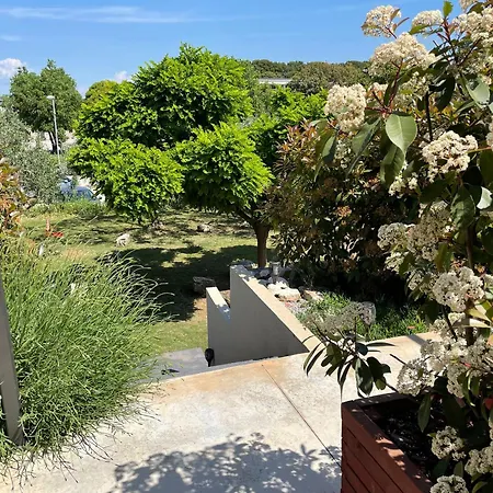 Pretty Little Thing Called Biska *