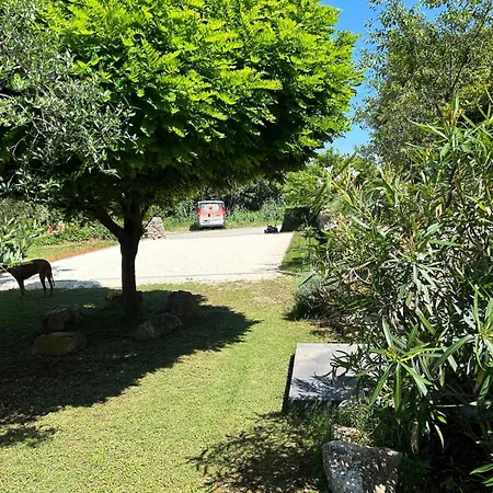 Pretty Little Thing Called Biska 普拉